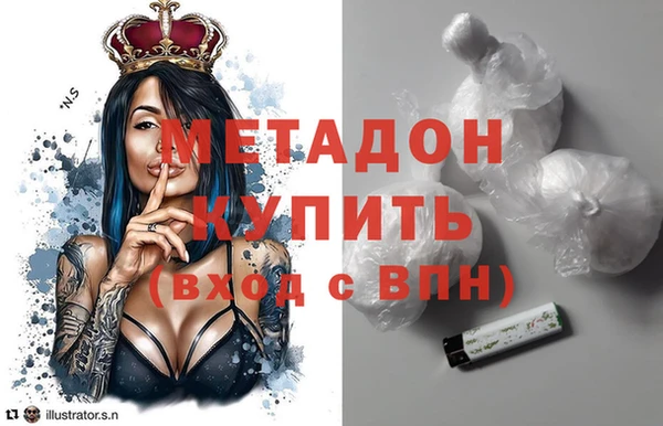 прущие грибы Козловка